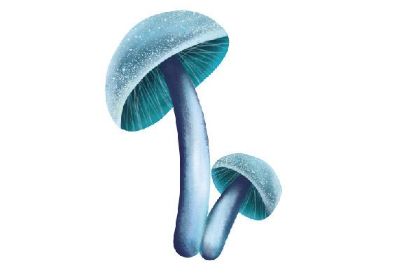 A Watercolor Mushroom Design for Mystical Embroidery