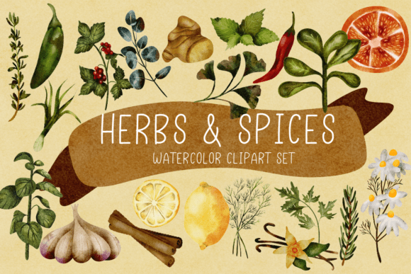 Herbs Spices Watercolor Clipart: A Designer's Assessment for Food & Crafts