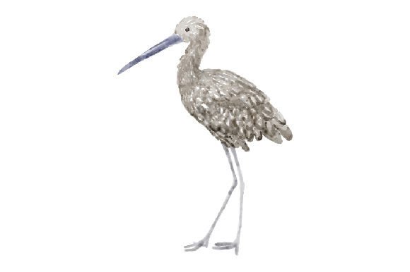 How the Limpkin Watercolor Design Elevates Handmade Embroidery
