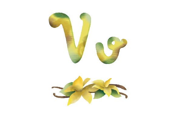 Letter V Watercolor: A Versatile Craft and Kids Branding Asset