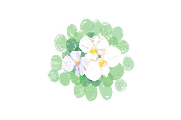 White Orchids Watercolor for Crafts and Nature Art